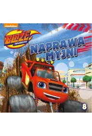 Blaze i megamaszyny Naprawa myjni