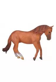Collecta Ogier Klaczy Australian Stock Horse Rozmiar XL