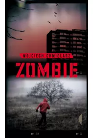 Zombie. Detektyw Dawid Wolski. Tom 2