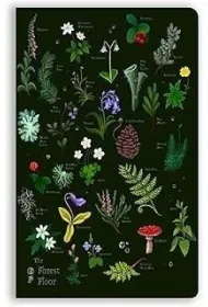Flame Tree Notatnik B6 linia BR Le�na �ci�ka Anna Stead