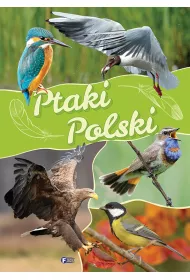 Ptaki polski