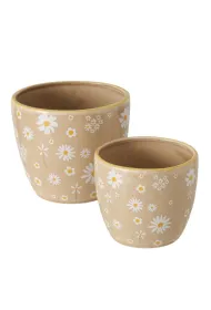 Boltze Ceramiczny zestaw donic Honey beowy