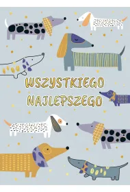 Henry Karnet B6 SZARE PSY
