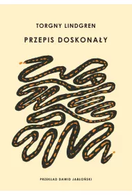 Przepis doskona�y