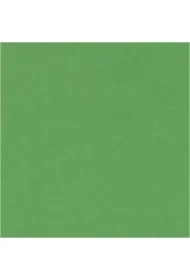 Canson Karton Iris A3 185g, 50 arkuszy/ryza