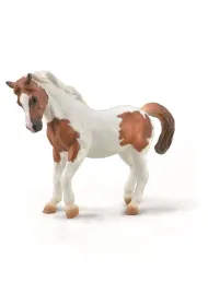 Kucyk Chincoteague kasztanowy Pinto