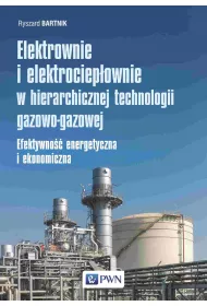Elektrownie i elektrociep�ownie w hierarchicznej technologii gazowo-gazowej