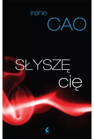 S�ysz� ci�
