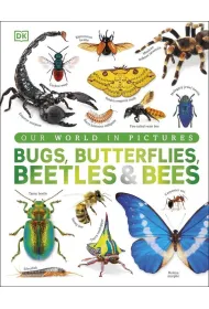 Our World in Pictures Bugs, Butterflies, Beetles and Bees