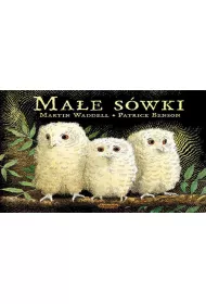 Ma�e s�wki