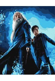 Ideyka Malowanie po numerach - Harry Potter 40x50cm