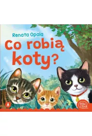 Co robi koty?