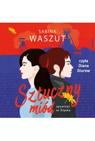 Audiobook Sztuczny mid mp3