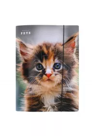 Pan Dragon Teczka z gumk� A4 Pets NR19 P-DR 970356