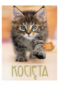 Kocita