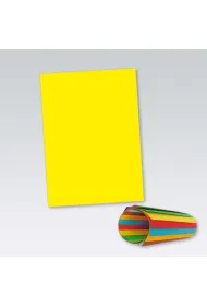 Protos Brystol A1 kolorowy 160g, 594x841mm 20 szt.