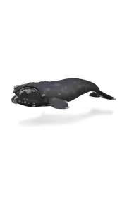 Wale�