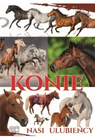 Konie. Nasi ulubie�cy