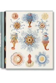 The Art and Science of Ernst Haeckel