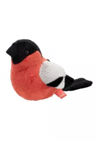 Gil zwyczajny 13cm Beppe