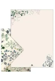 Tassotti Papeteria Eukaliptus 6 komplet�w