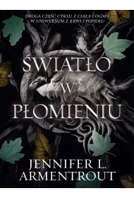 wiato w pomieniu