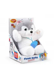 Piesek Husky Dumel