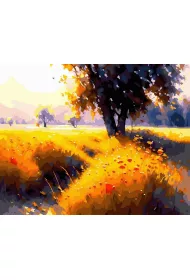 Twoje Hobby Malowanie po numerach + z�ota farba - Letnia cisza 40x50cm