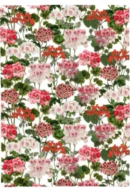 R�cznik kuchenny - Pelargonia