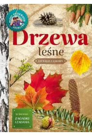 Mody obserwator przyrody. Drzewa lene