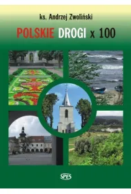 Polskie drogi x100
