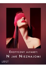 eBook Erotyczny alfabet: N jak Nieznajomi - zbir opowiada mobi epub