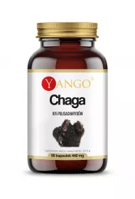 Yango Chaga - ekstrakt 10% polisacharydw - suplement diety 90 kaps.