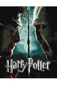 Ideyka Malowanie po numerach - Harry i Voldemort metal