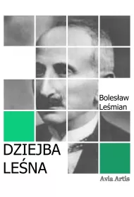eBook Dziejba lena mobi epub