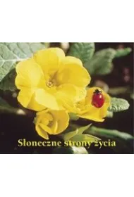 S�oneczne strony �ycia. Pere�ka 129