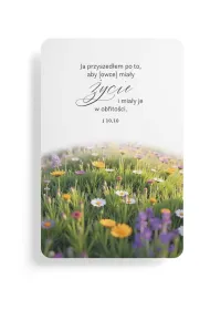 Szaron Magnes na lod�wk� - Ja przyszed�em po to - pejza�