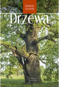 Drzewa. Spotkania z przyrod�