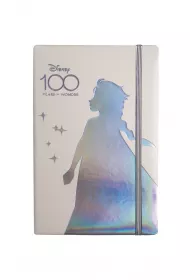 Coolpack Opal Collection Notes A5 Disney 100 z gumk� linia 80 kartek