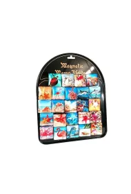 Magnesy morskie (24 szt)