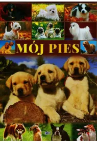 M�j pies