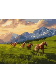 Ideyka Malowanie po numerach - Wolny duchem 40x50cm