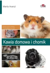 Kawia domowa i chomik