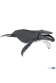 Humbak