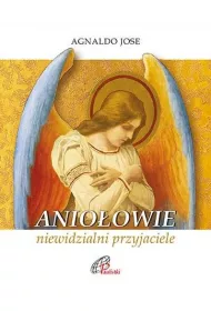 Anio�owie, niewidzialni przyjaciele