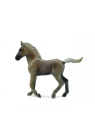 �rebi� rasy Rocky Mountain 004-88799