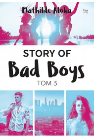 Story of Bad Boys. Tom 3
