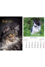 Kalendarz 2027 �cienny 7-k Koty