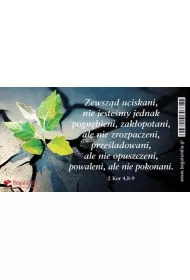 Magnes na lod�wk�. Zewsz�d uciskani, nie jeste�my jednak pogn�bieni, zak�opotani, ale nie zrozpaczeni, prze�ladowani, ale nie opuszczeni, powaleni, ale nie pokonani. Magnes 27
