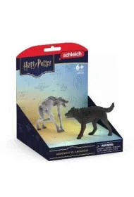 Wilko�ak Vs Animag Wizarding World
